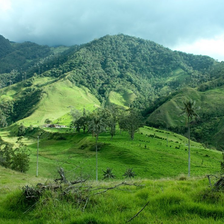 Senderismo tropical en Colombia